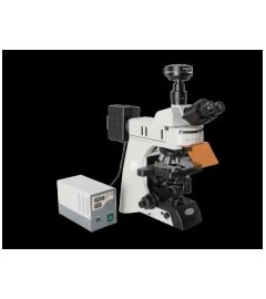 MF43研究级正置荧光显微镜