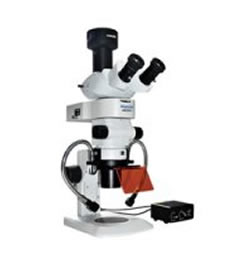 MZX81 体视荧光显微镜